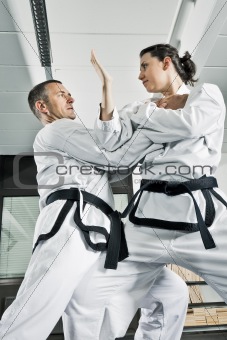 martial arts fighters
