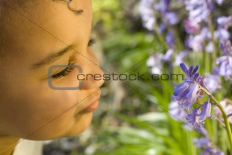 Smelling The Bluebells