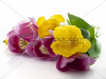 Yellow and red tulips bouquet on a white background