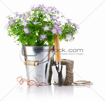 flowers in bucket with garden tools