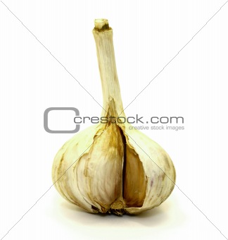 Delicious garlic on a white background