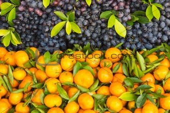 Fresh orange and grape fruit