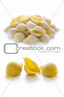 conchiglioni pasta shells 