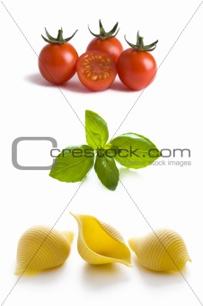 conchiglioni pasta shells, tomatoes and basil leaves 