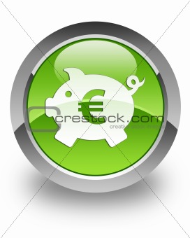 Money box (euro) glossy icon