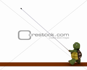 tortoise competing in pole vault