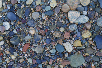 Beach Stones 