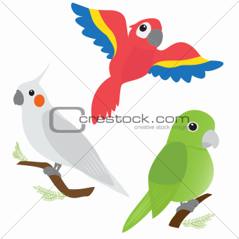 Set of cartoon parrots