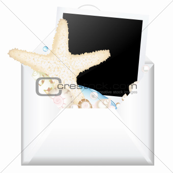 Open Envelope With Photo And Starfish