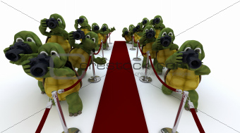 Tortoise Paparazzi at the red carpet