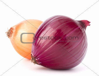 Red and gold onion bulbs