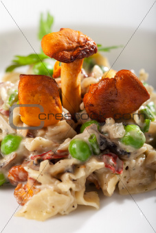 closeup of chanterelle pasta 