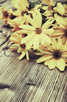 Yellow Flowers - Vintage Look