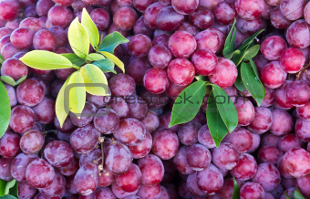 Fresh grape fruit in the market