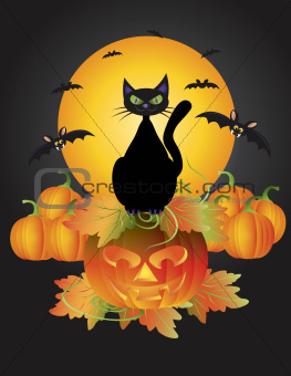 Halloween Black Cat On Carved Pumpkin Illustration
