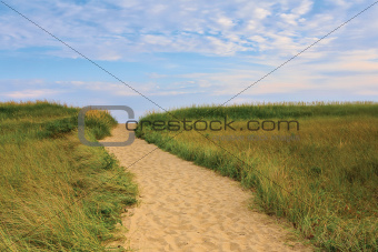 Dune Path to the Beach