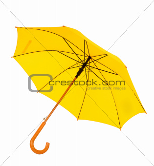 yellow umbrella on a white background