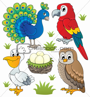 Various birds theme set 2