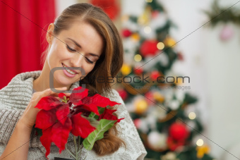 Dreaming woman in front of Christmas tree holding Christmas rose