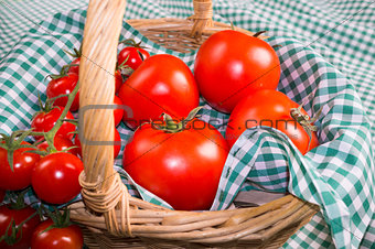 Tomatoes closeup