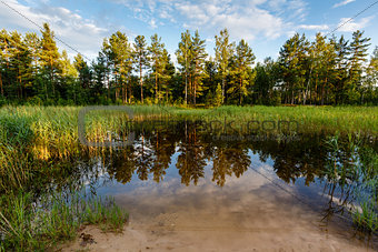 Lake in the Forest and Trees Reflection near Moscow, Russia