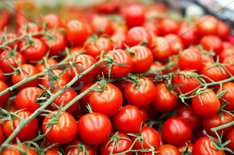 fresh cherry tomato in box in supermarket