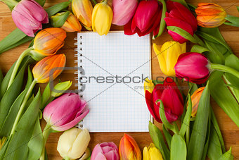 tulips on wooden table