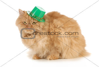 St Patricks Day cat