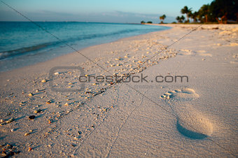 Footprint on a tropical beach