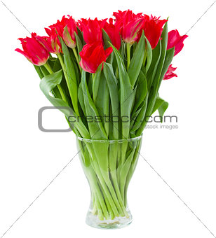 spring red flowers