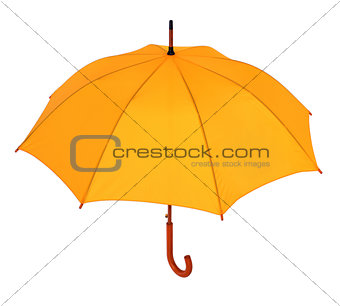 yellow umbrella on a white background