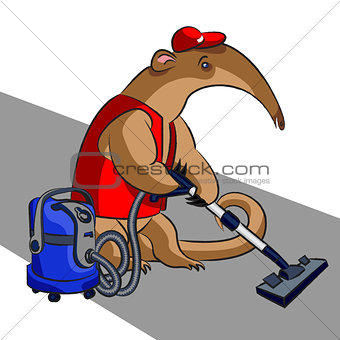 Anteater and vacuum cleaner