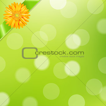 Green Nature Background With Yellow Gerbers And Green Ribbon