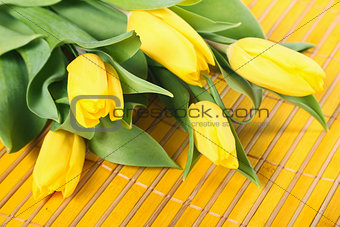 Tulips on placemats
