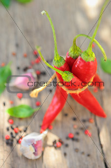 bunch of red chilies 