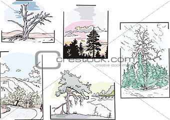 landscapes with trees