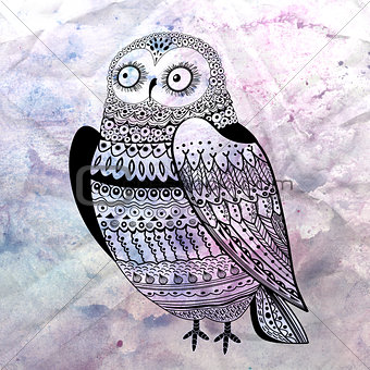 graphic owl