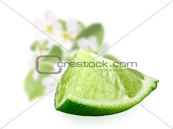 Part of fresh lime