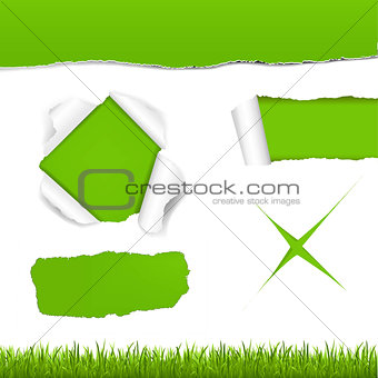 Green Torn Paper Set
