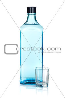 Gin bottle and empty shot