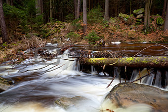 alpine fast river in forest