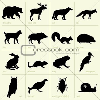 Forest animals' silhouettes