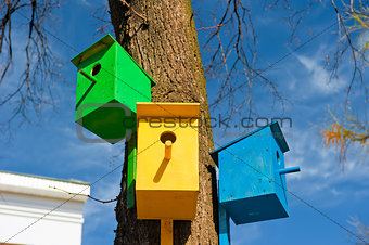 Three colorful birdhouse