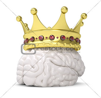 Crown on the brain