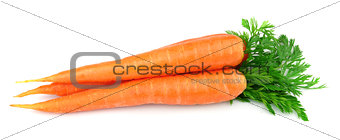 Sweet carrots with leafs