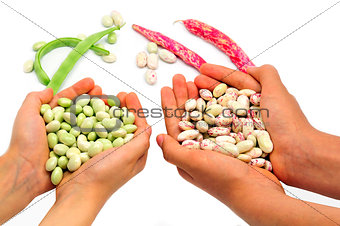 organic string beans on white background