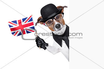 british dog  banner