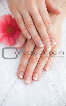 Flower with french manicured fingers at spa center