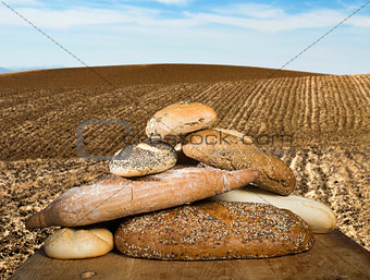 Bread and wheat cereal crops. Plowed land