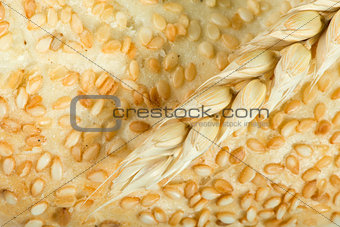 Close up Bread and wheat cereal crops